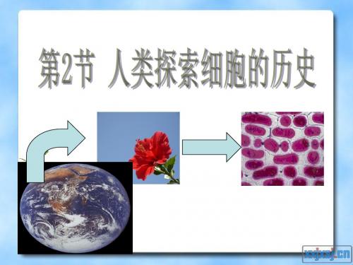 第1章人类探索细胞的历史