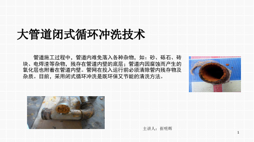 大管道闭式循环冲洗技术