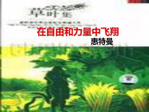 沪教版七年级语文(上)《在自由和力量中飞》课件 (共38张PPT)
