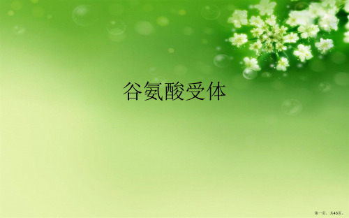 谷氨酸受体