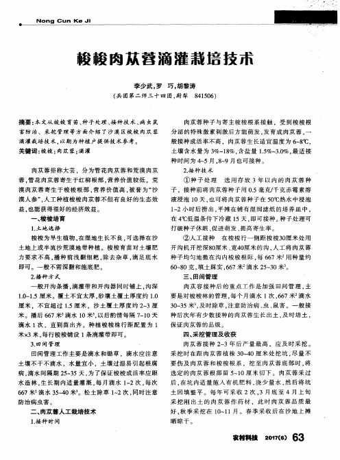 梭梭肉苁蓉滴灌栽培技术