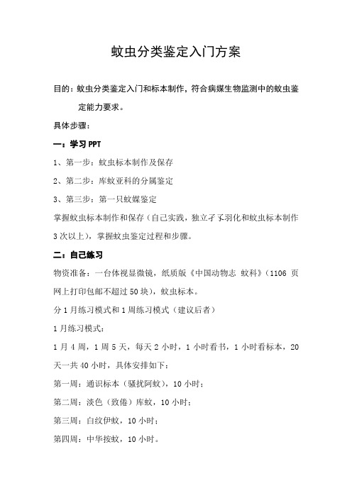 蚊虫分类鉴定入门方案