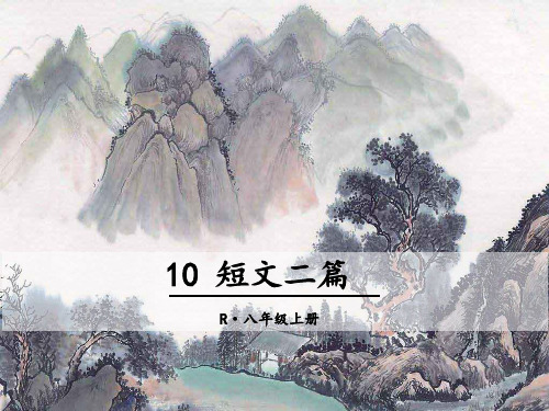 人教部编版八年级语文上册11 短文二篇