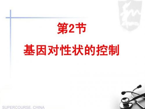 第四章第二节基因对性状的控制