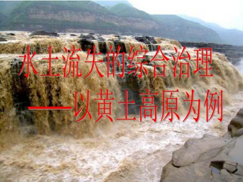 PPT课件 高中地理 1.3水土流失的综合治理