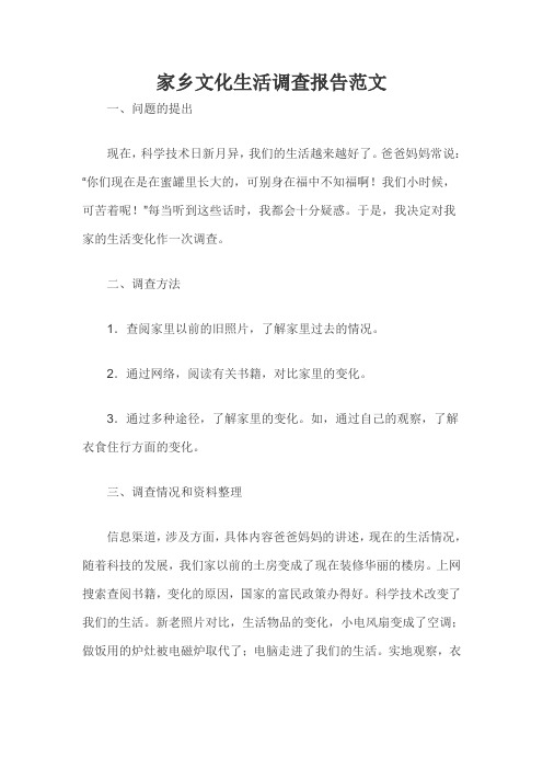 家乡文化生活调查报告范文