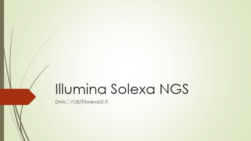 Illumina Solexa NGS