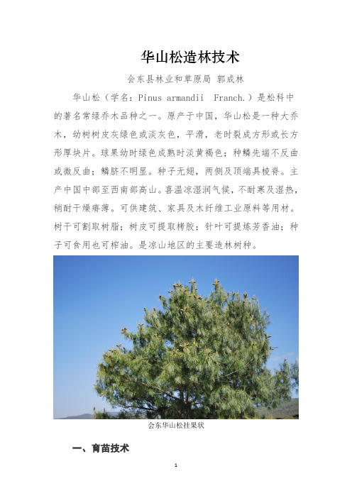 华山松造林技术