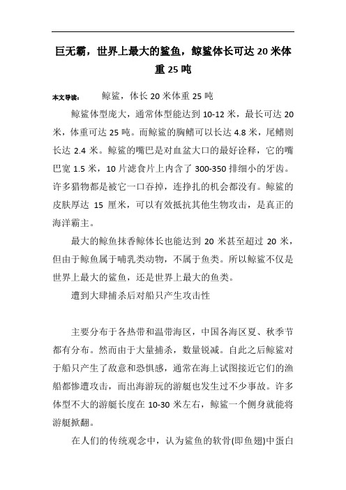 巨无霸,世界上最大的鲨鱼,鲸鲨体长可达20米体重25吨