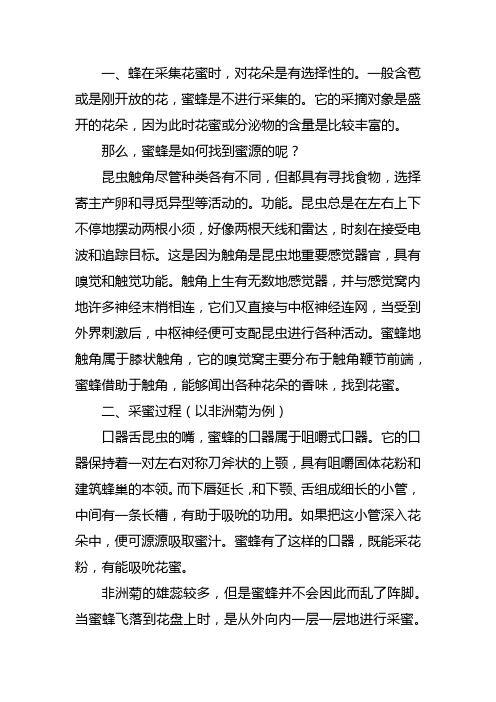 蜜蜂如何采蜜