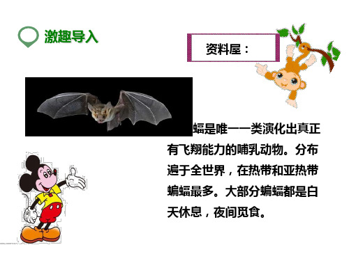 四年级下册语文课件-11蝙蝠和雷达_人教新课标版
