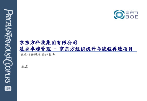追求卓越管理京东方组织提升与流程再造项目