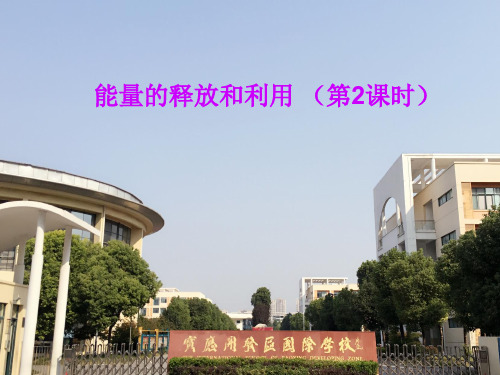 苏科版生物七上7.1《能量的释放和利用》教学课件(第2课时)(共20张PPT)