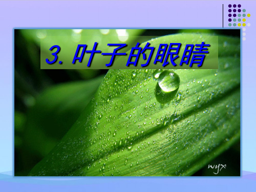 新苏教版一级下册语文第课叶子的眼睛ppt精品资料