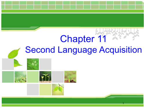 Chapter-11-Second-language-acquisitionPPT演示课件