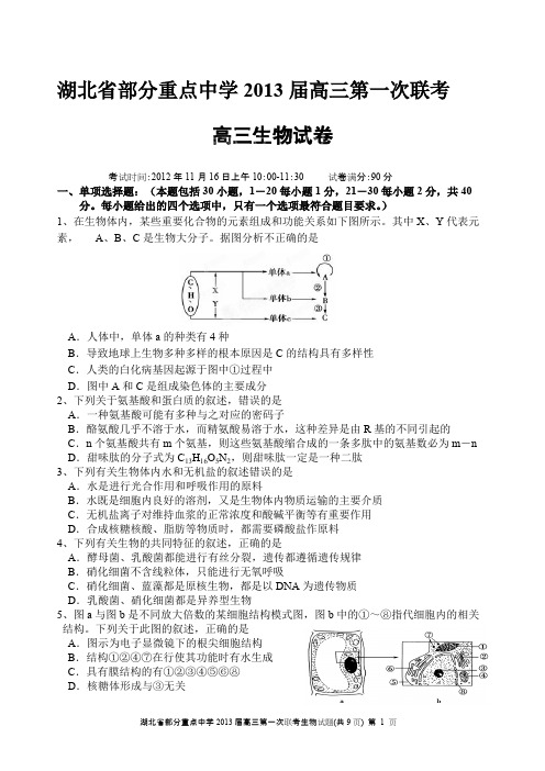 (完整版)湖北省部分重点中学届高三第一次联考生物试卷及答案,推荐文档