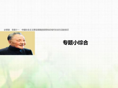 (浙江选考)2018版高考历史总复习 专题11 中国社会主义建设道路的探索和近现代社会生活的变迁专题小综合