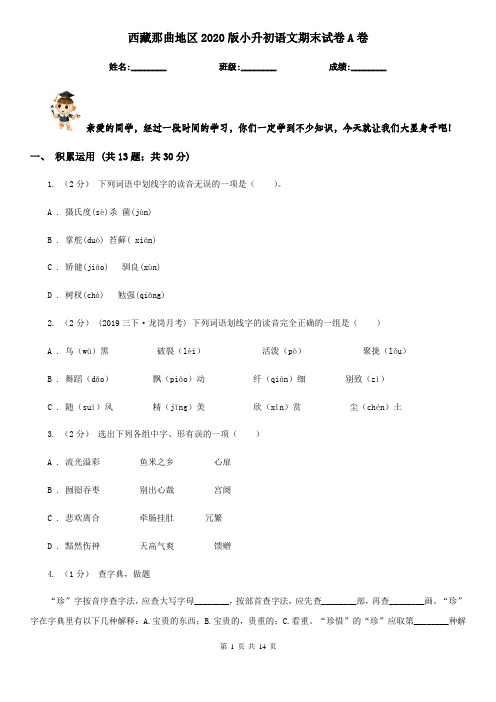 西藏那曲地区2020版小升初语文期末试卷A卷