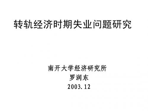 转轨经济时期失业问题研究(南开大学 罗润东)