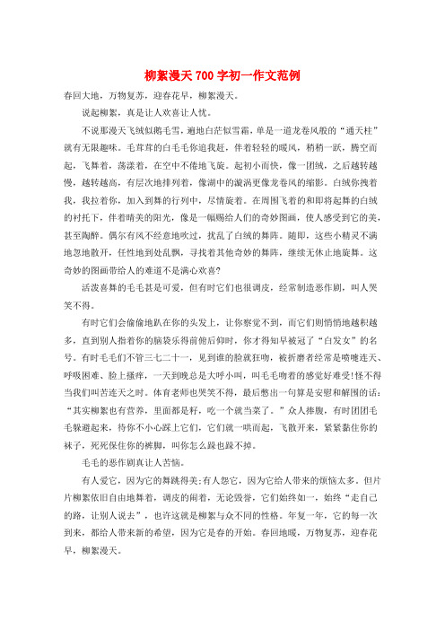柳絮漫天700字初一作文范例