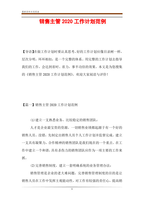 销售主管2020工作计划范例
