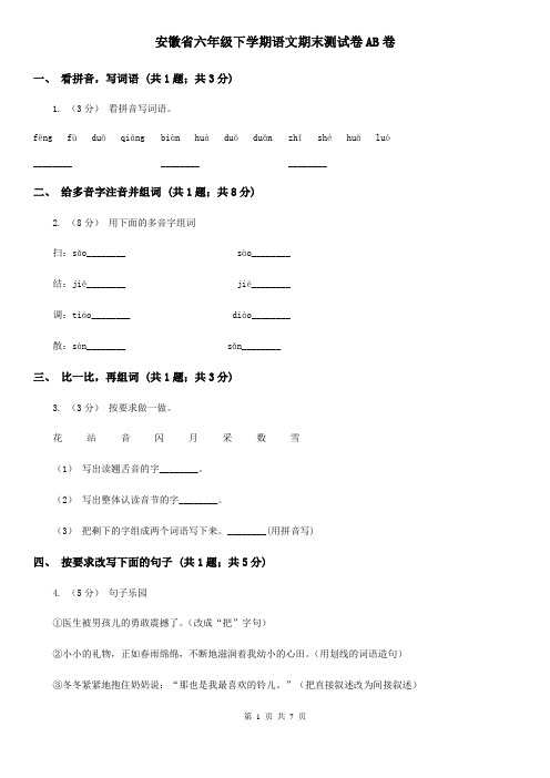 安徽省六年级下学期语文期末测试卷AB卷
