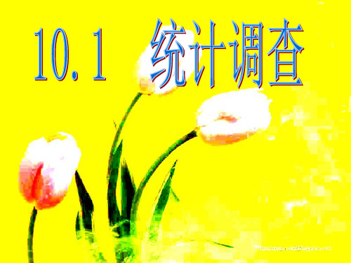 10.1_统计调查(1).ppt