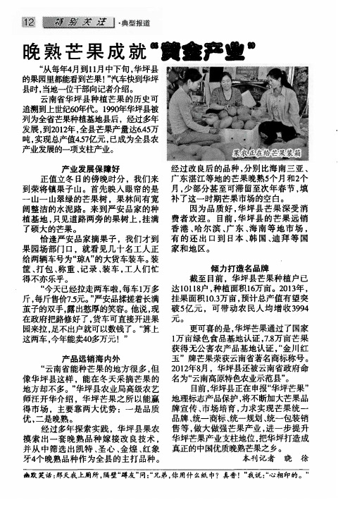 晚熟芒果成就“黄金产业”