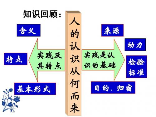 在实践中追求和发展真理(上课用)