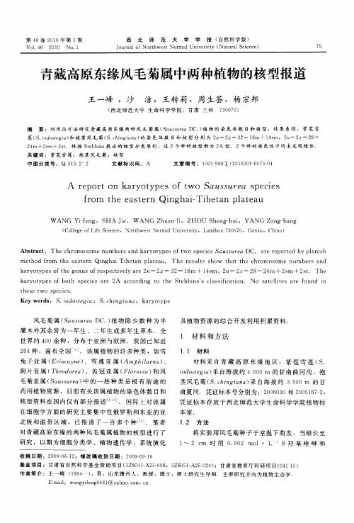 青藏高原东缘风毛菊属中两种植物的核型报道
