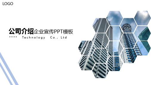 简约大气公司介绍PPT