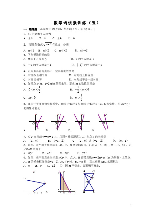 数学培优强训练5