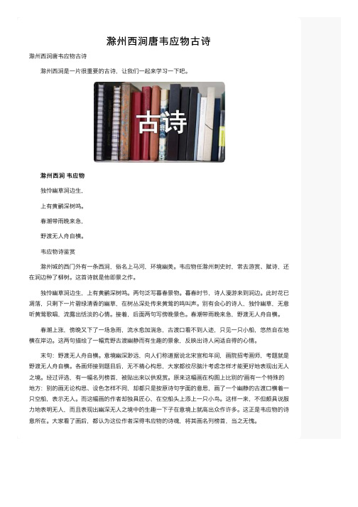 滁州西涧唐韦应物古诗