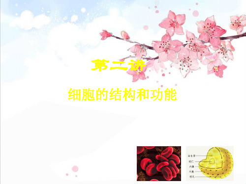 高中生物一轮复习专题——细胞的结构和功能精品PPT课件
