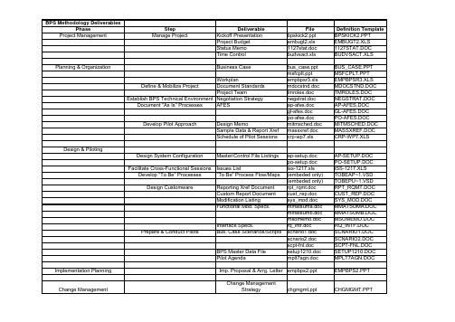 安达信咨询方法与工具资料库DELVLIST