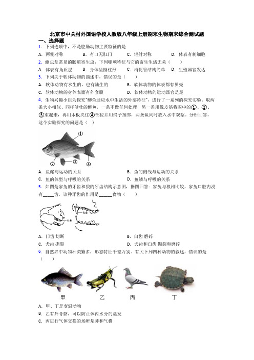 北京市中关村外国语学校人教版八年级上册期末生物期末综合测试题