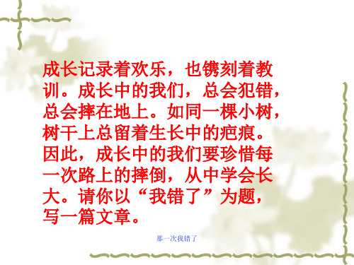 那一次我错了 ppt课件