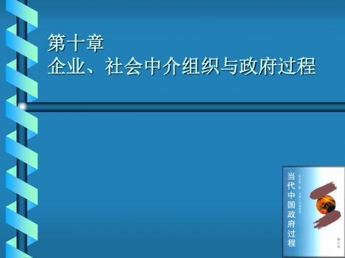 当代中国政府与政治10