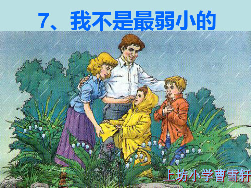 人教版二年级语文下《我不是最弱小的》(25页)精品PPT课件