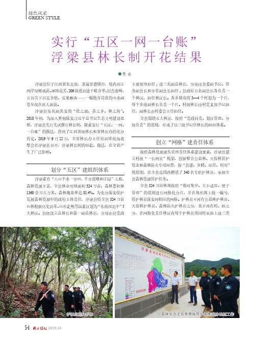 实行“五区一网一台账”浮梁县林长制开花结果
