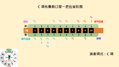 C调布鲁斯口琴12把位音阶图