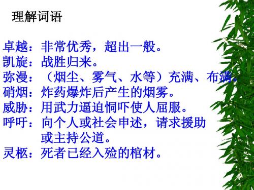 《一个中国孩子的呼声》ppt课件