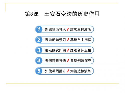 4.3 王安石变法的历史作用 课件(人教版选修1)