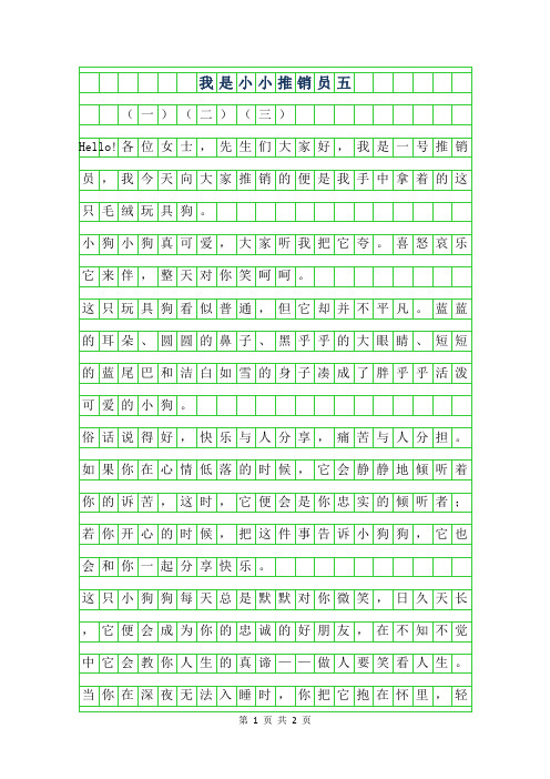 2019年我是小小推销员五年级作文范文