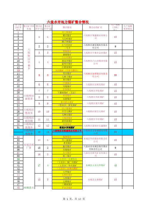 六盘水市水城、钟山地方煤矿2010年名册表(2)