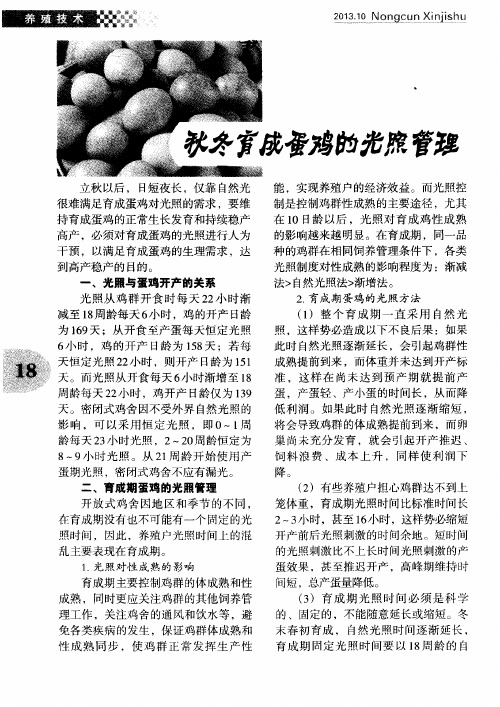 秋冬育成蛋鸡的光照管理