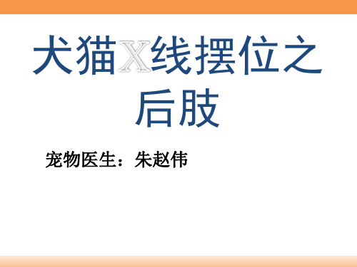 犬猫X线摆位--后肢