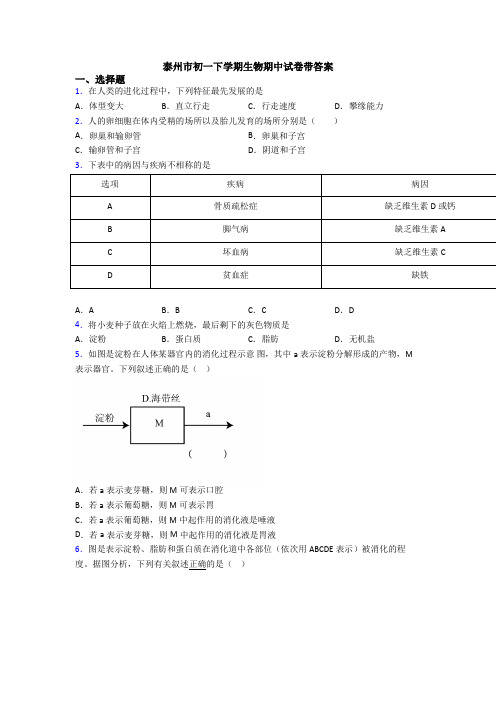 泰州市初一下学期生物期中试卷带答案
