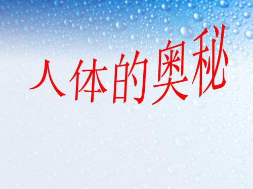 人体的奥秘精选ppt