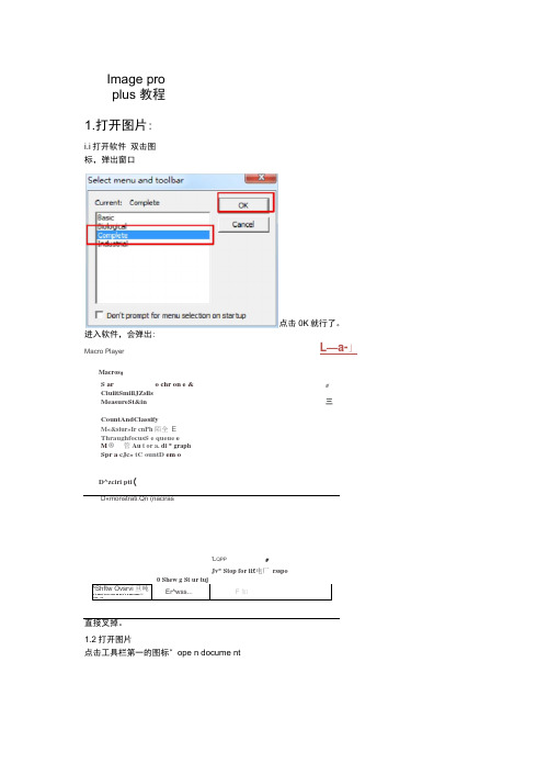 (完整版)imageproplus教程